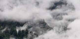 CorpenPelloz: Investigating the Buzz Around This Mysterious Term CorpenPelloz: Investigating the Buzz Around This Mysterious Term