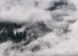 CorpenPelloz: Investigating the Buzz Around This Mysterious Term CorpenPelloz: Investigating the Buzz Around This Mysterious Term