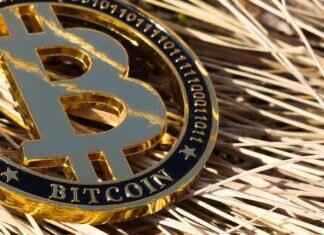 Coyyn: A New Name in the World of Digital Finance Coyyn: A New Name in the World of Digital Finance