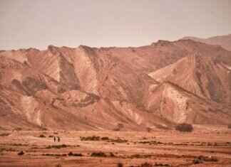 Crazy Stupid Love Emma Stone and Ryan Gosling: Their On-Screen Chemistry Explained Crazy Stupid Love Emma Stone and Ryan Gosling: Their On-Screen Chemistry Explained