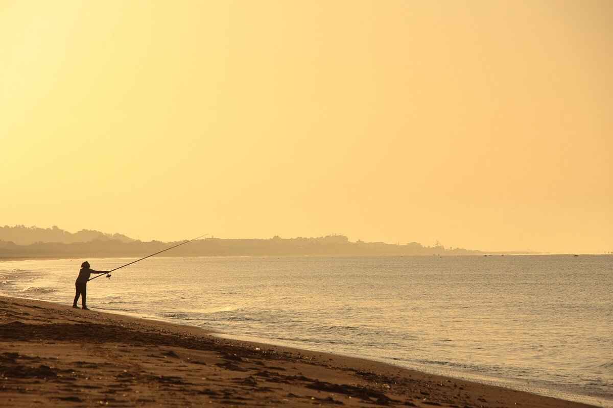 Earnings & Financial Success