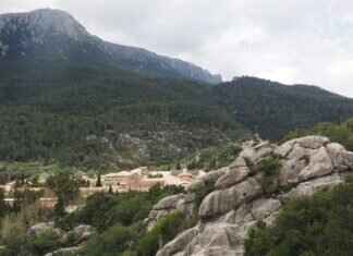 Cruella Emma Stone: The Role That Changed the Game for the Actress Cruella Emma Stone: The Role That Changed the Game for the Actress