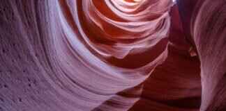 Crystal Forest Slot Machine: How to Play and Win Big Crystal Forest Slot Machine: How to Play and Win Big