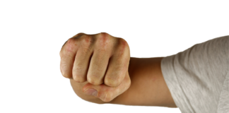 Cyndaquil Pokémon Battle Tactics, Best Items, and Counters in Pokémon Games Cyndaquil Pokémon Battle Tactics, Best Items, and Counters in Pokémon Games