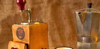 Dairy & Dairy Alternatives in Asian Cuisine Dairy & Dairy Alternatives in Asian Cuisine