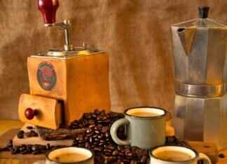 Dairy & Dairy Alternatives in Asian Cuisine Dairy & Dairy Alternatives in Asian Cuisine