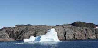 Dana Chang Obituary: Remembering Her Life and Legacy Dana Chang Obituary: Remembering Her Life and Legacy