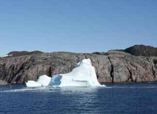 Dana Chang Obituary: Remembering Her Life and Legacy Dana Chang Obituary: Remembering Her Life and Legacy