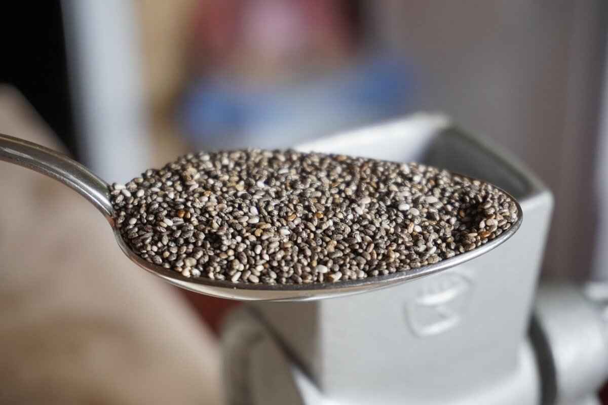 What Are Chia Seeds?
