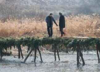 Dave McCary Emma Stone: Their Relationship and Life Together as a Couple Dave McCary Emma Stone: Their Relationship and Life Together as a Couple