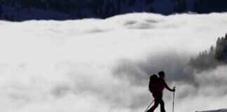 Dave’s Run: The Best Ski Trail You Haven’t Heard Of Dave’s Run: The Best Ski Trail You Haven’t Heard Of