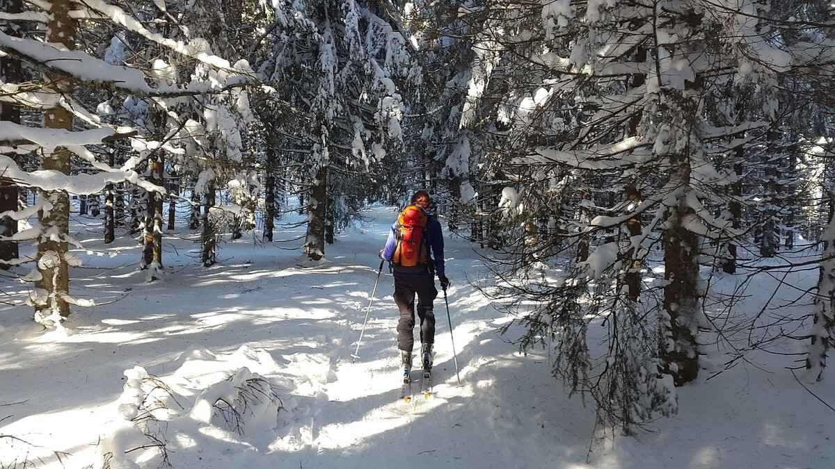 How Does Dave’s Run Compare to Other Trails?