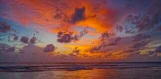 Dining on a Floating Market in Thailand: A Unique Experience Dining on a Floating Market in Thailand: A Unique Experience