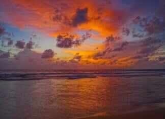 Dining on a Floating Market in Thailand: A Unique Experience Dining on a Floating Market in Thailand: A Unique Experience