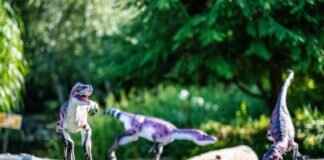 Dino Rescue: When Paw Patrol Meets Dinosaurs! Dino Rescue: When Paw Patrol Meets Dinosaurs!