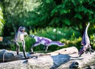 Dino Rescue: When Paw Patrol Meets Dinosaurs! Dino Rescue: When Paw Patrol Meets Dinosaurs!