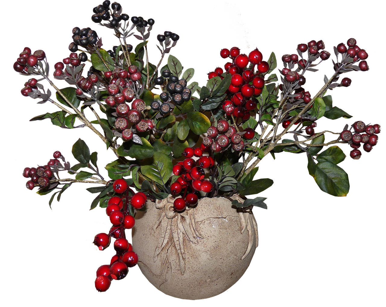 How to Choose the Right Broth