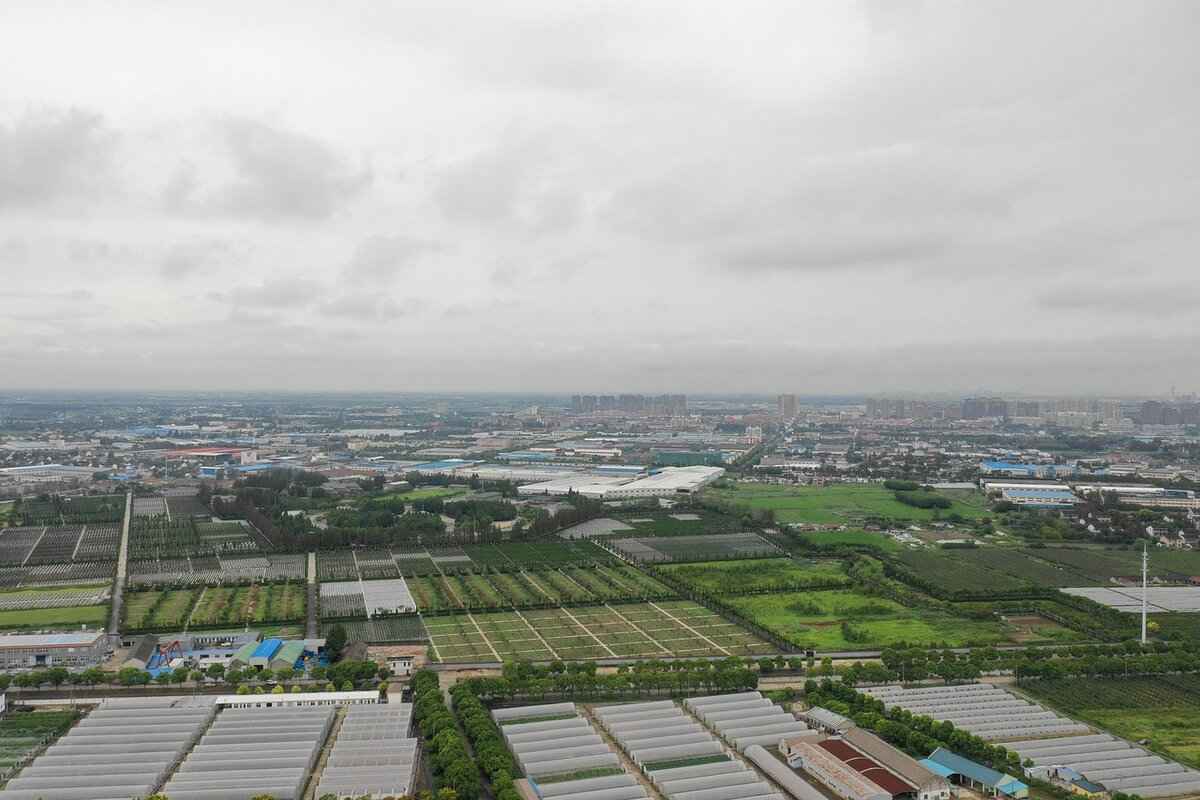 Step-by-Step Guide to Setting Up the Mount