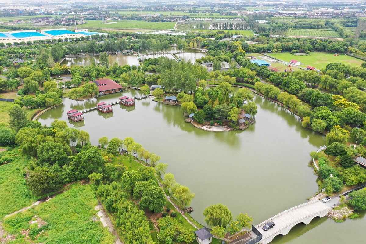 How Does the Osmo Action 5 Compare to Competitors?