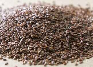 Do Chia Seeds Go Bad? How to Store Them for Freshness Do Chia Seeds Go Bad? How to Store Them for Freshness