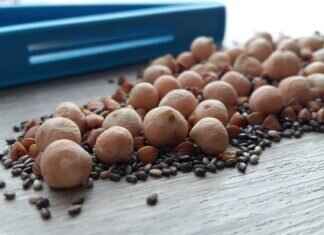 Do Chia Seeds Go Bad? How to Store Them Properly Do Chia Seeds Go Bad? How to Store Them Properly