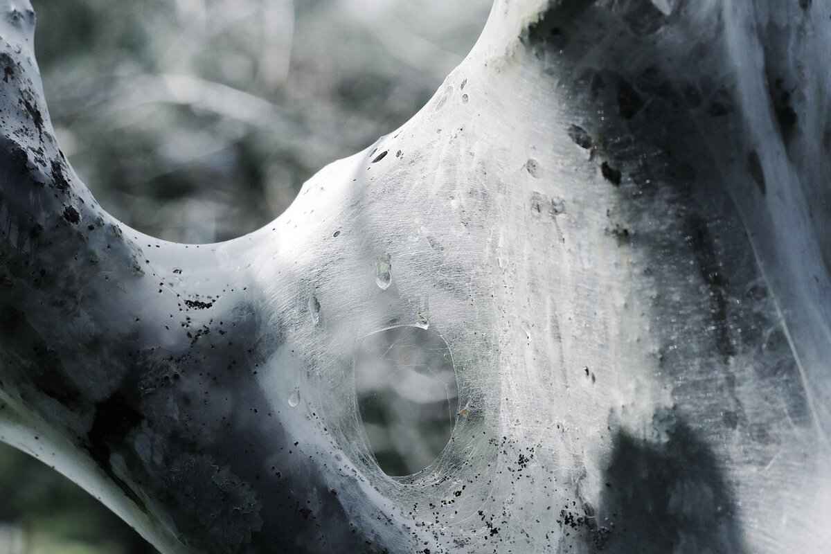 Diagnosis of Neurological Disorders