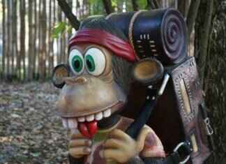 Doduo Pokémon Evolution, Abilities, Moves, and How to Train It for Competitive Play Doduo Pokémon Evolution, Abilities, Moves, and How to Train It for Competitive Play