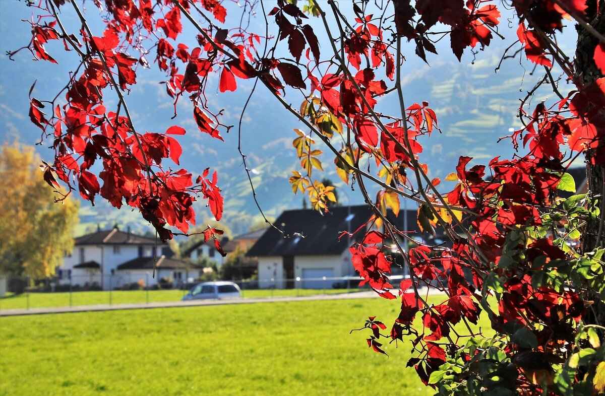 Does Alimony Amount Increase Every Year? 6 Seeking Legal Assistance for Alimony Issues