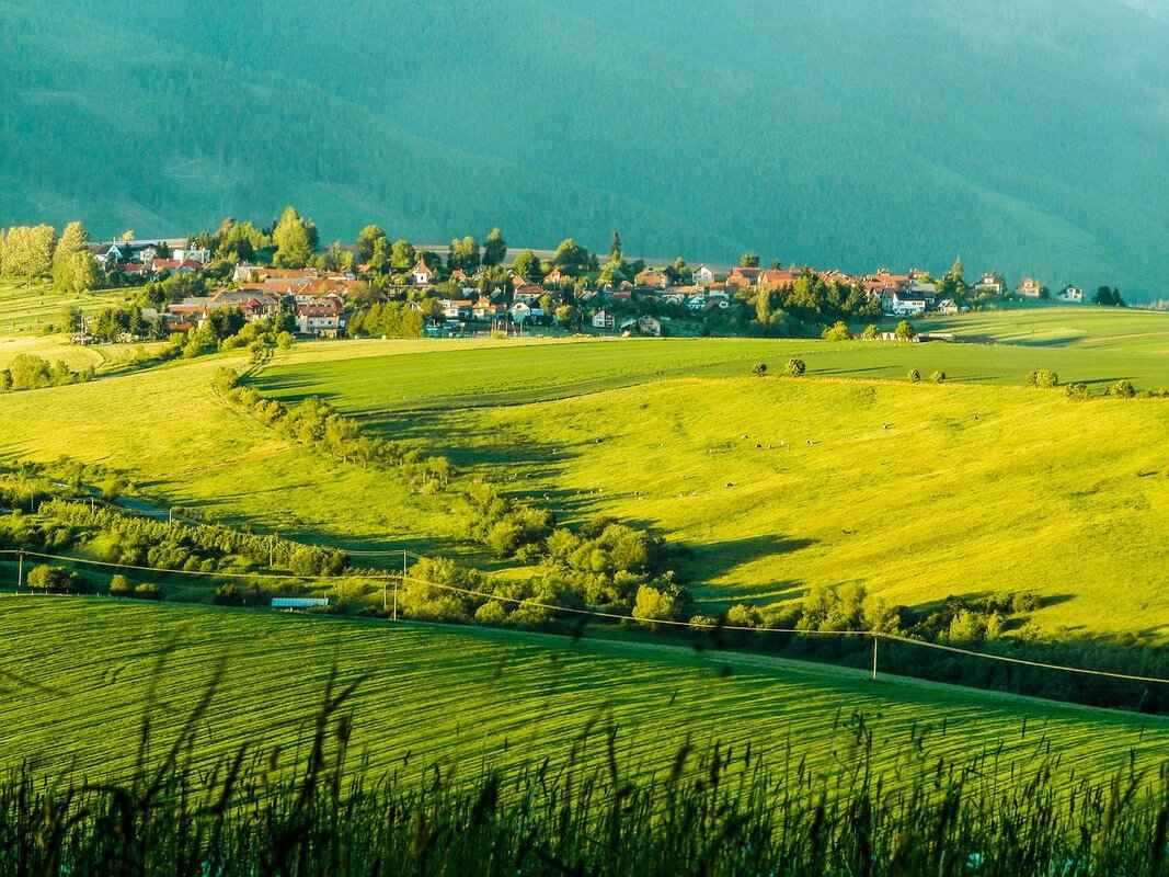 Does Alimony Debt Have a Statute of Limitations? 2 The Legal Framework of Alimony