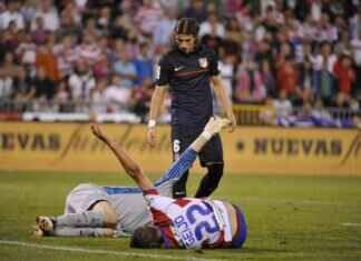 Köpek Isırığı Yüz Yaralanması – İzleri Tedavi Etme ve Önleme Yöntemleri Köpek Isırığı Yüz Yaralanması – İzleri Tedavi Etme ve Önleme Yöntemleri