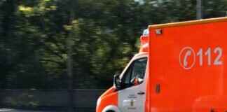 Dog Bite First Aid Kit – Essentials Every Pet Owner Needs Dog Bite First Aid Kit – Essentials Every Pet Owner Needs