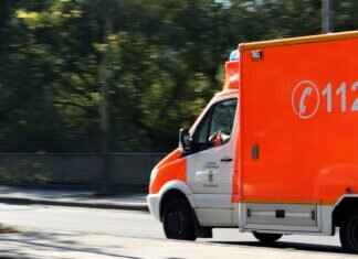 Dog Bite First Aid Kit – Essentials Every Pet Owner Needs Dog Bite First Aid Kit – Essentials Every Pet Owner Needs