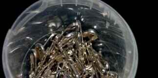 Dog Bite Prevention: How to Keep Yourself Safe from Dog Attacks Dog Bite Prevention: How to Keep Yourself Safe from Dog Attacks