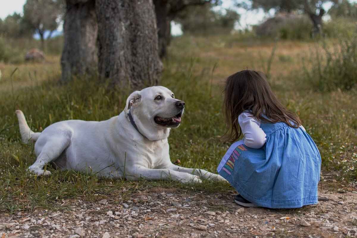 Treatment Options for Severe Bites