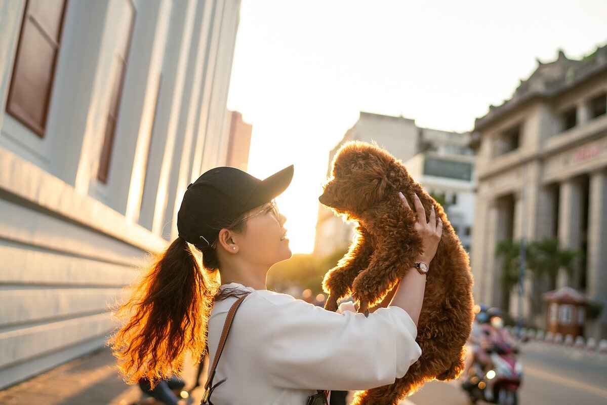 Conclusion: Ensuring Proper Healing of Dog Bite Wounds