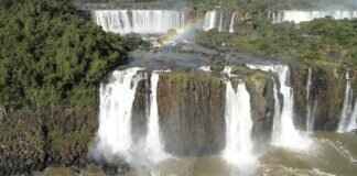 Dogo Argentino Isırma Gücü – Diğer Irklarla Karşılaştırması Dogo Argentino Isırma Gücü – Diğer Irklarla Karşılaştırması