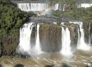 Dogo Argentino Isırma Gücü – Diğer Irklarla Karşılaştırması Dogo Argentino Isırma Gücü – Diğer Irklarla Karşılaştırması