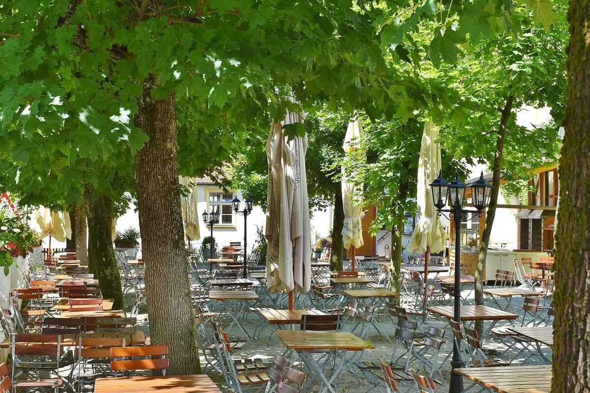 Understanding Beer Styles: A Guide to Domestic Varieties