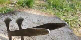 Dragalge Pokémon: Best Moves, Strengths, and Competitive Guide Dragalge Pokémon: Best Moves, Strengths, and Competitive Guide