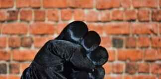 Dubwool Pokémon: Best Moveset, Strengths, and Competitive Play Tips Dubwool Pokémon: Best Moveset, Strengths, and Competitive Play Tips