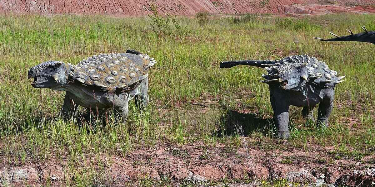 Dunsparce Evolution: Path and Requirements