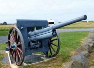 Catholic Schools vs Public Schools in Queens: Cost vs Quality 2024 Understanding Durant's Type and Abilities