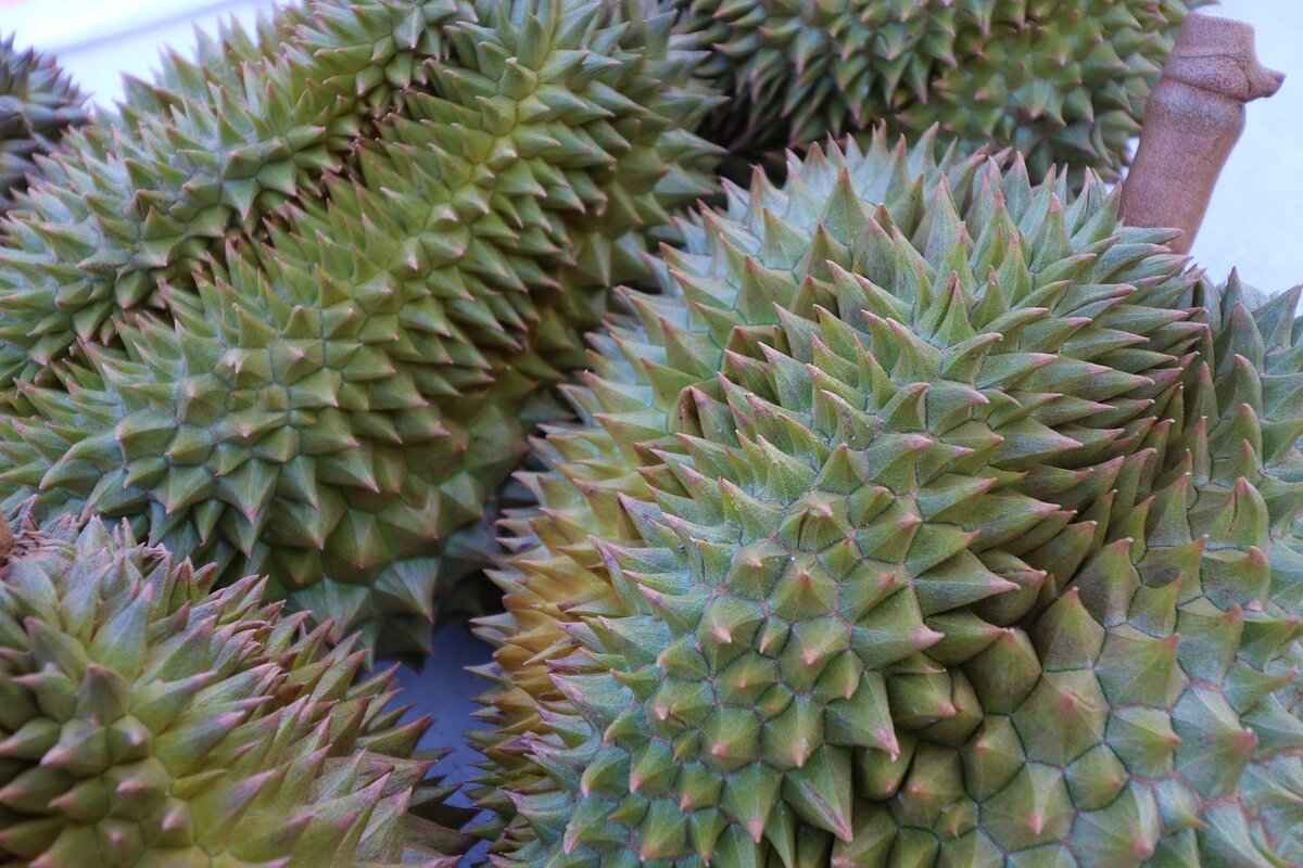 Creative Ways to Use Durian in Cooking