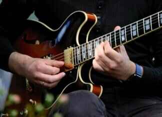 Eelektrik Pokémon: Best Battle Strategies and Competitive Guide Eelektrik Pokémon: Best Battle Strategies and Competitive Guide