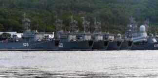 Eelektross Pokémon: How to Maximize Its Potential in Competitive Play Eelektross Pokémon: How to Maximize Its Potential in Competitive Play