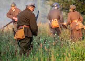 Electivire Pokémon Competitive Guide: Best Abilities, Moves, and Battle Combos Electivire Pokémon Competitive Guide: Best Abilities, Moves, and Battle Combos