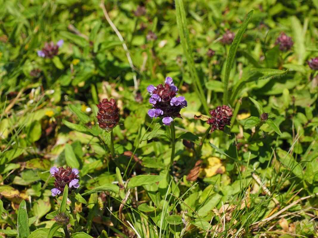 Education and Career Path