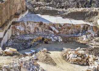 Emma Stone: What You Didn’t Know About the Actress’s Career and Life Emma Stone: What You Didn't Know About the Actress’s Career and Life