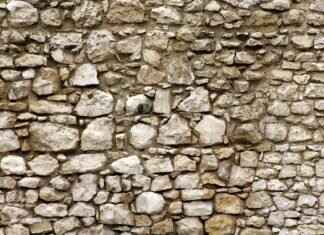 Emma Stone and Her Impact on Hollywood: A Career Overview Emma Stone and Her Impact on Hollywood: A Career Overview