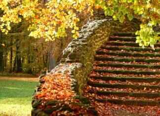 Emma Stone and Her Legacy: A Look at Her Contributions to Hollywood Emma Stone and Her Legacy: A Look at Her Contributions to Hollywood